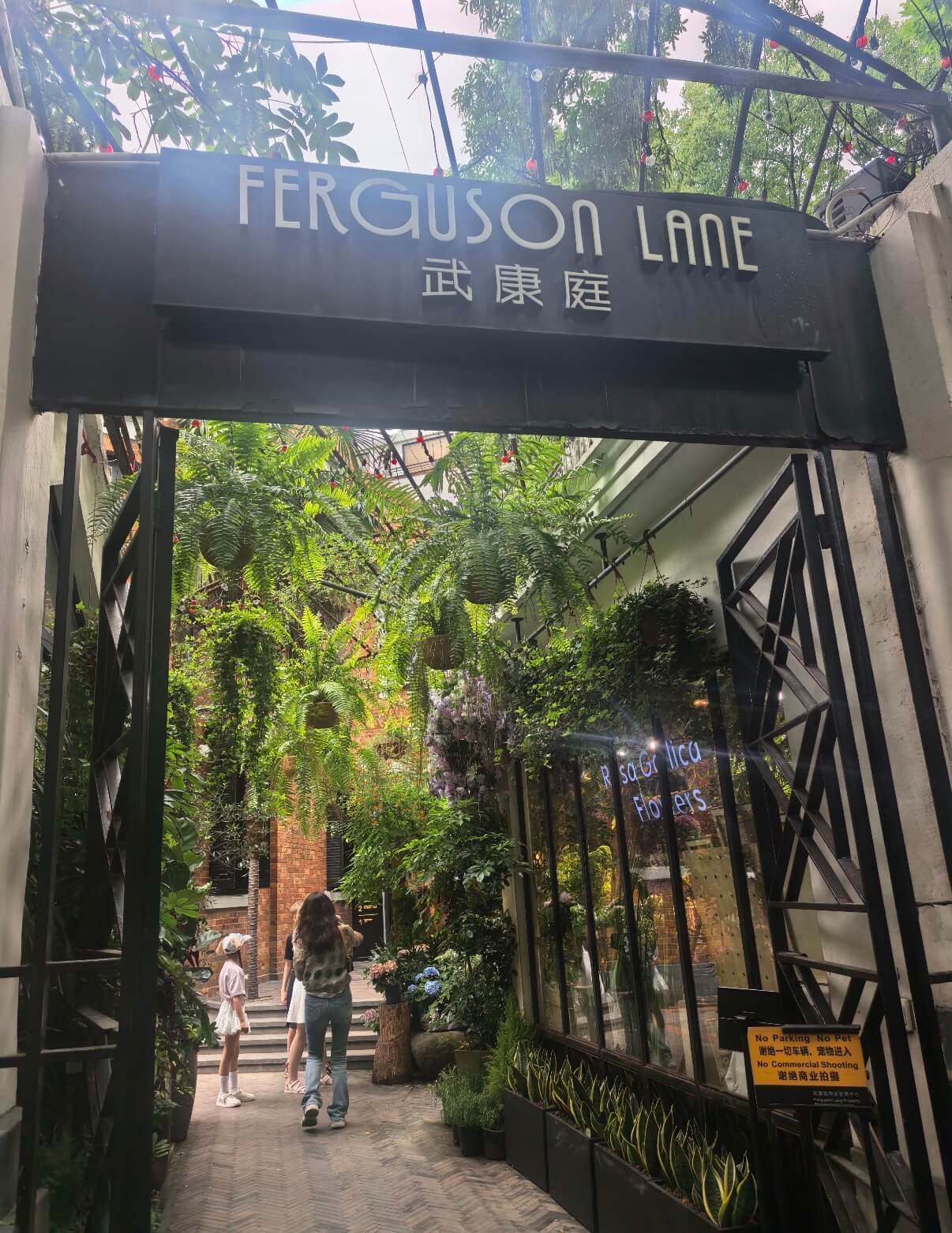 Ferguson Lane Interior